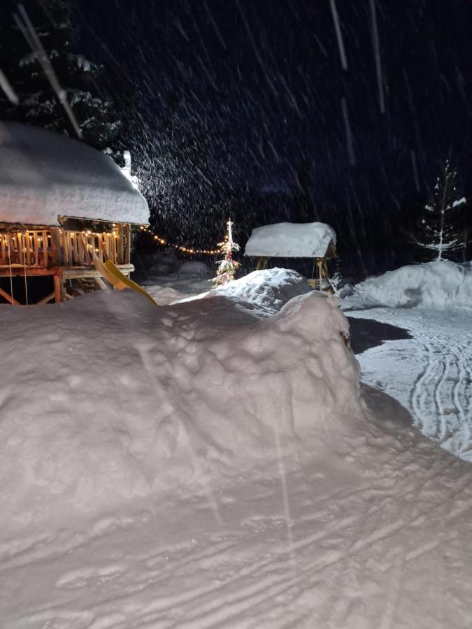 Ferienwohnung Enduro Transalpina Obarsia-Lotrului Exterior foto