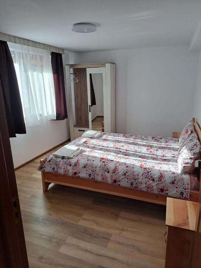 Ferienwohnung Enduro Transalpina Obarsia-Lotrului Exterior foto