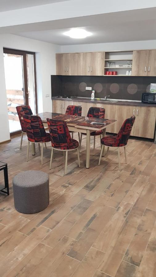 Ferienwohnung Enduro Transalpina Obarsia-Lotrului Exterior foto