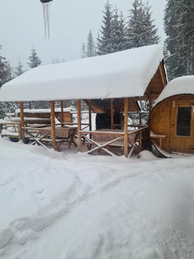 Ferienwohnung Enduro Transalpina Obarsia-Lotrului Exterior foto